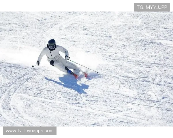 滑雪队适应不同雪面速度变化，技术表现稳定