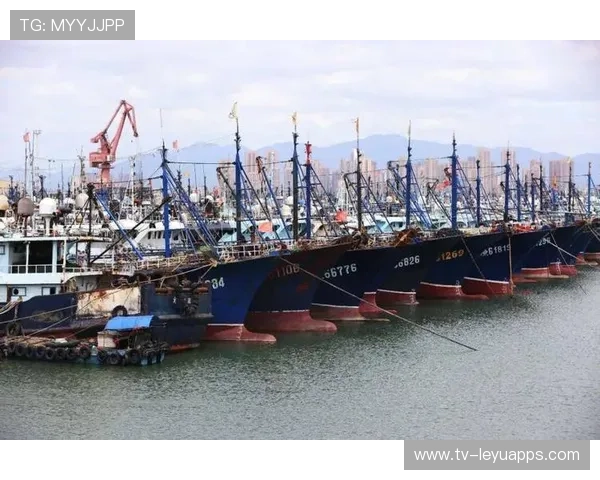 台风带来海鲜盛况，惠州渔业迎丰收，惠州台风停课吗