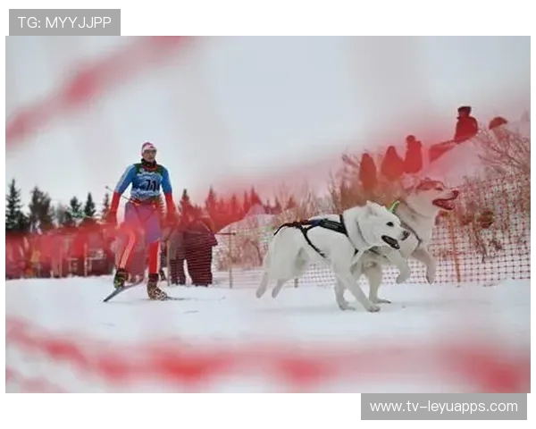 雪橇锦标:俄罗斯队稳居金牌榜,冲击纪录!,2021雪橇世锦赛 雪橇锦标:俄罗斯队稳居金牌榜,冲击纪录!,2021雪橇世锦赛